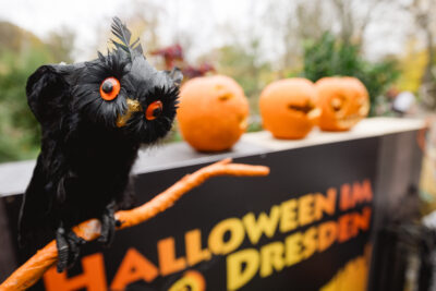 Halloween im Dresdner Zoo