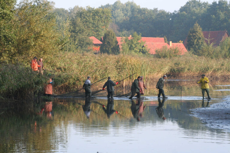 Lausitzer Fischwochen » SACHSEN.TOURS
