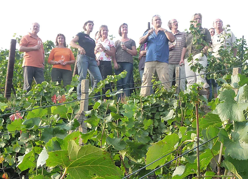 Gutschein Mariaberg-Weinbergstour