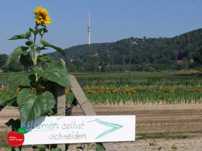 Obstbau Robert Rüdiger