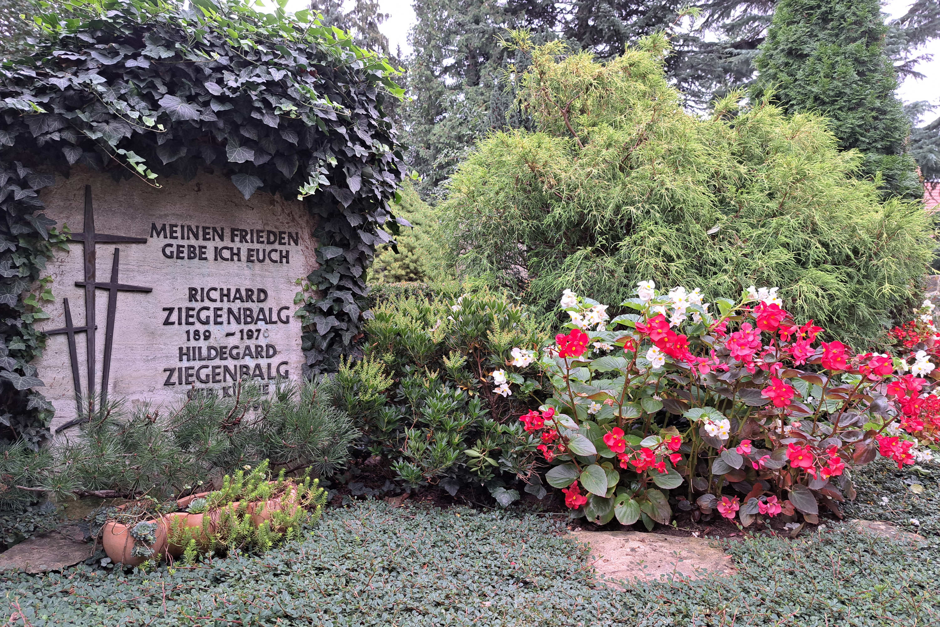 Ein teilweise mit Efeu bewachsener Grabstein trägt die Namen Richard und Hildegard Ziegenbalg. Bunte Blumen und dichte grüne Sträucher der Gärtnerei Pfitzner umgeben das Grab in einer friedlichen Friedhofsumgebung.