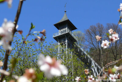 Touristinformation Bad Schandau