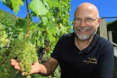 Moderierte Weinbergwanderung mit 4-Weinprobe