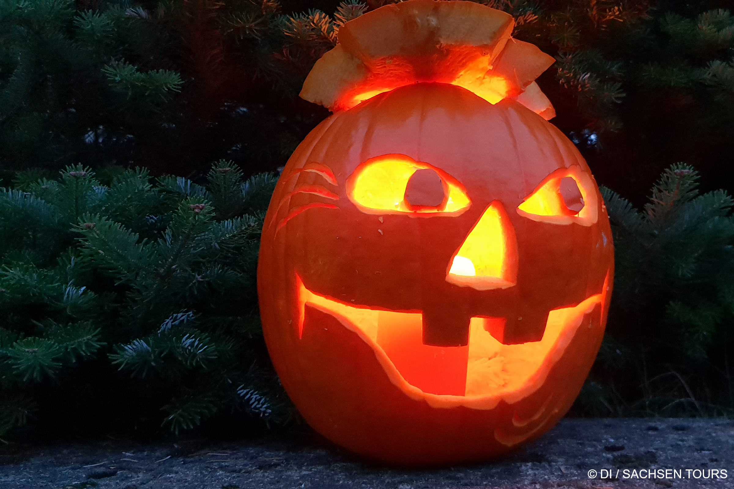 Halloween-Kürbis