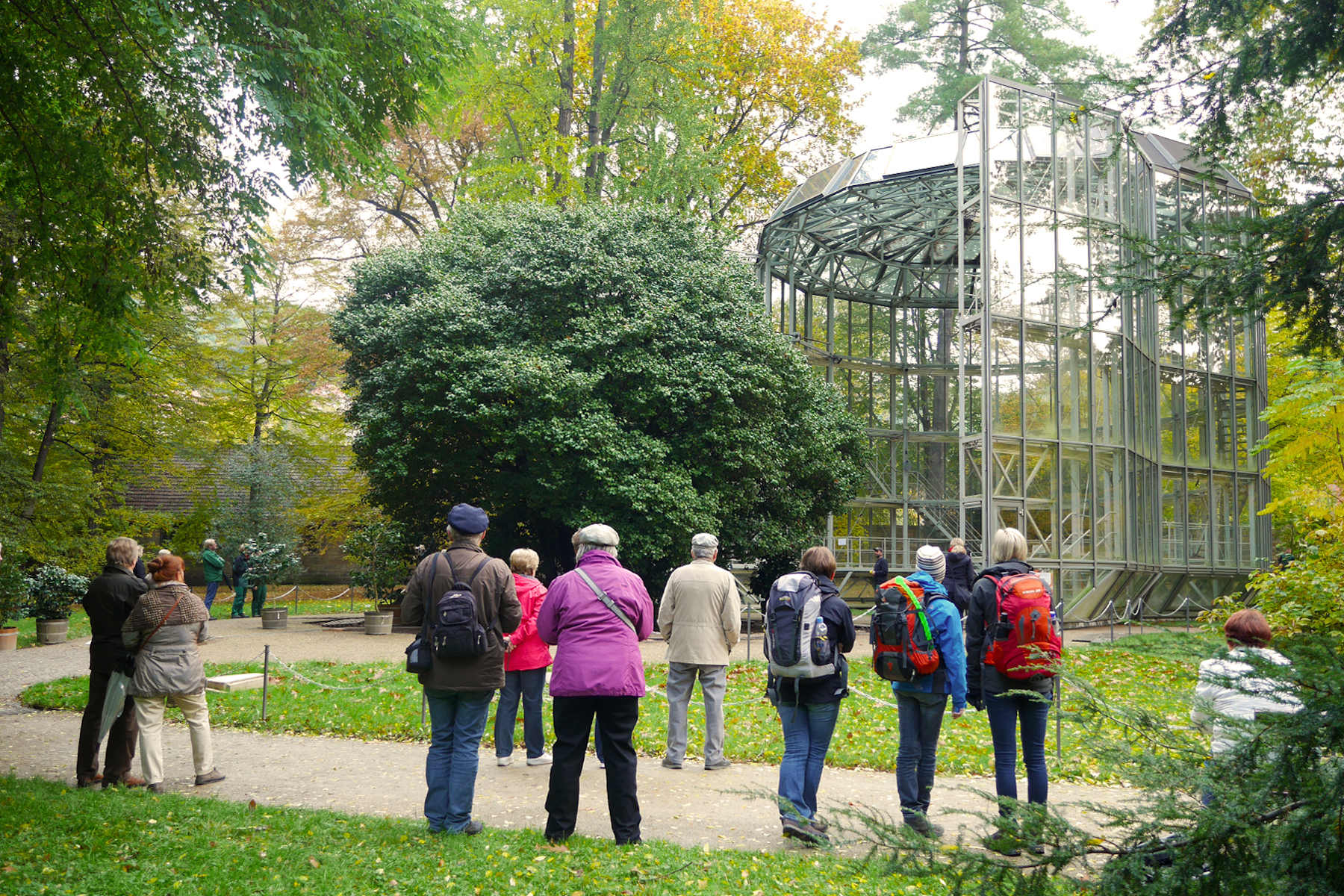 Kamelienhaus Verschiebung im Herbst