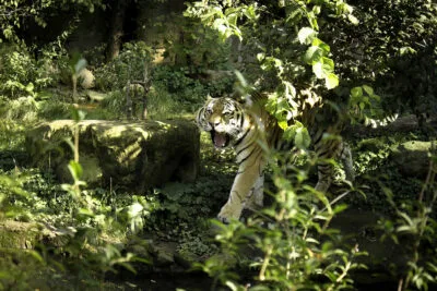 Zoo Leipzig