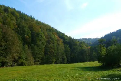 Ein Ausflug ins Kirnitzschtal