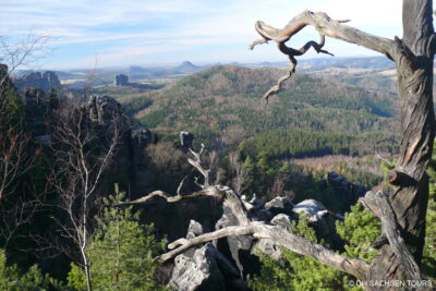 Nationalpark Sächsische Schweiz