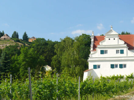 Bennoschlösschen in der Oberlößnitz