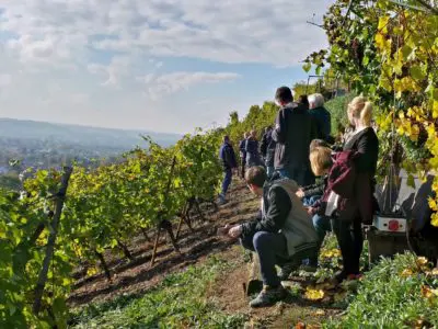 Steinrücken-Tour