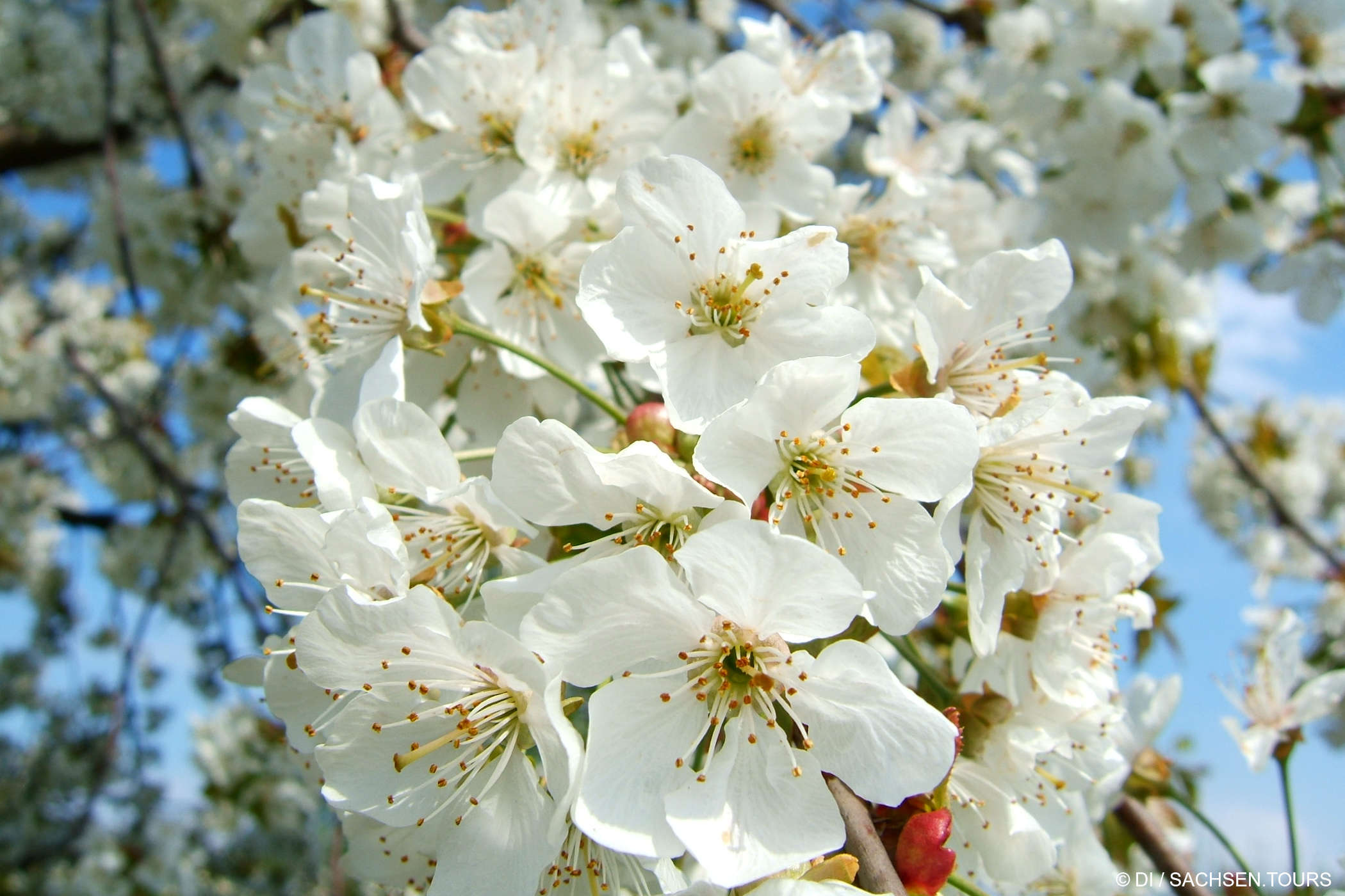 Ostern im Erzgebirge