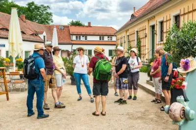 Weinbergwanderung mit 6-Weinprobe