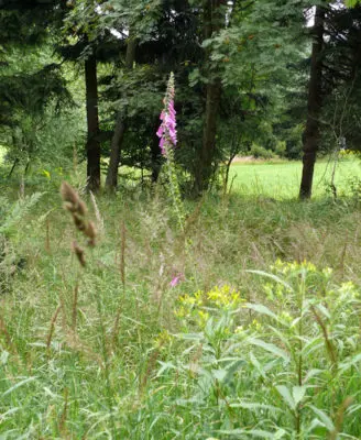 Entdeckerwoche im Erzgebirge