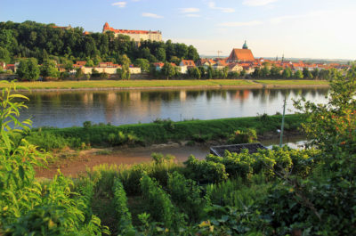 Pirna erkunden