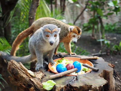 Ostern im Zoo Leipzig