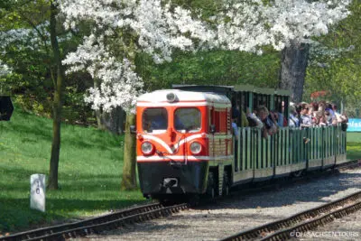 Mit der Bahn durch den Großen Garten