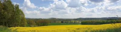 Ferienwohnung „Jüttelbergblick“