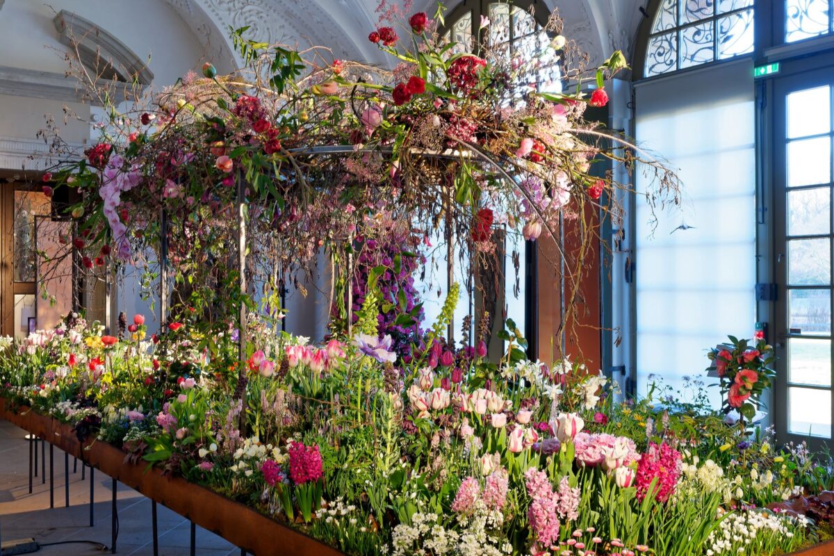 Ein großes Blumenarrangement für den Innenbereich beschwört den Geist des Dresdner Frühlings herauf, mit leuchtend rosafarbenen, roten, weißen und violetten Blüten und üppigem grünen Laub auf einem langen Tisch unter einem Baldachin aus fallenden Blumen in einem eleganten Raum mit gewölbten Fenstern.