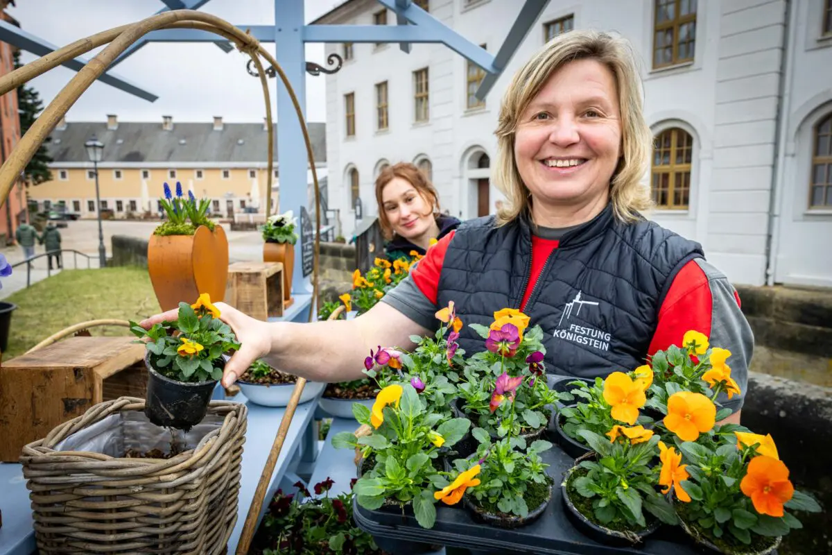 Königsteiner Frühlingserwachen (c) Marko Förster-FK