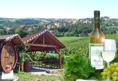 Besenwirtschaft Gut Pesterwitz geöffnet