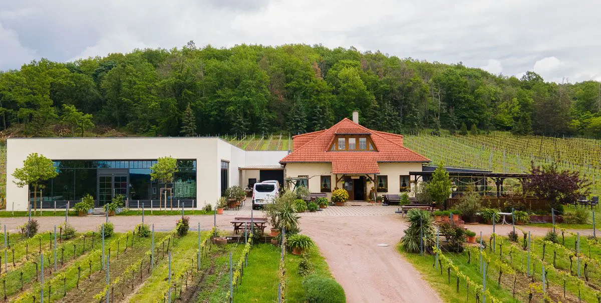 Blick auf das Weingut Matyas