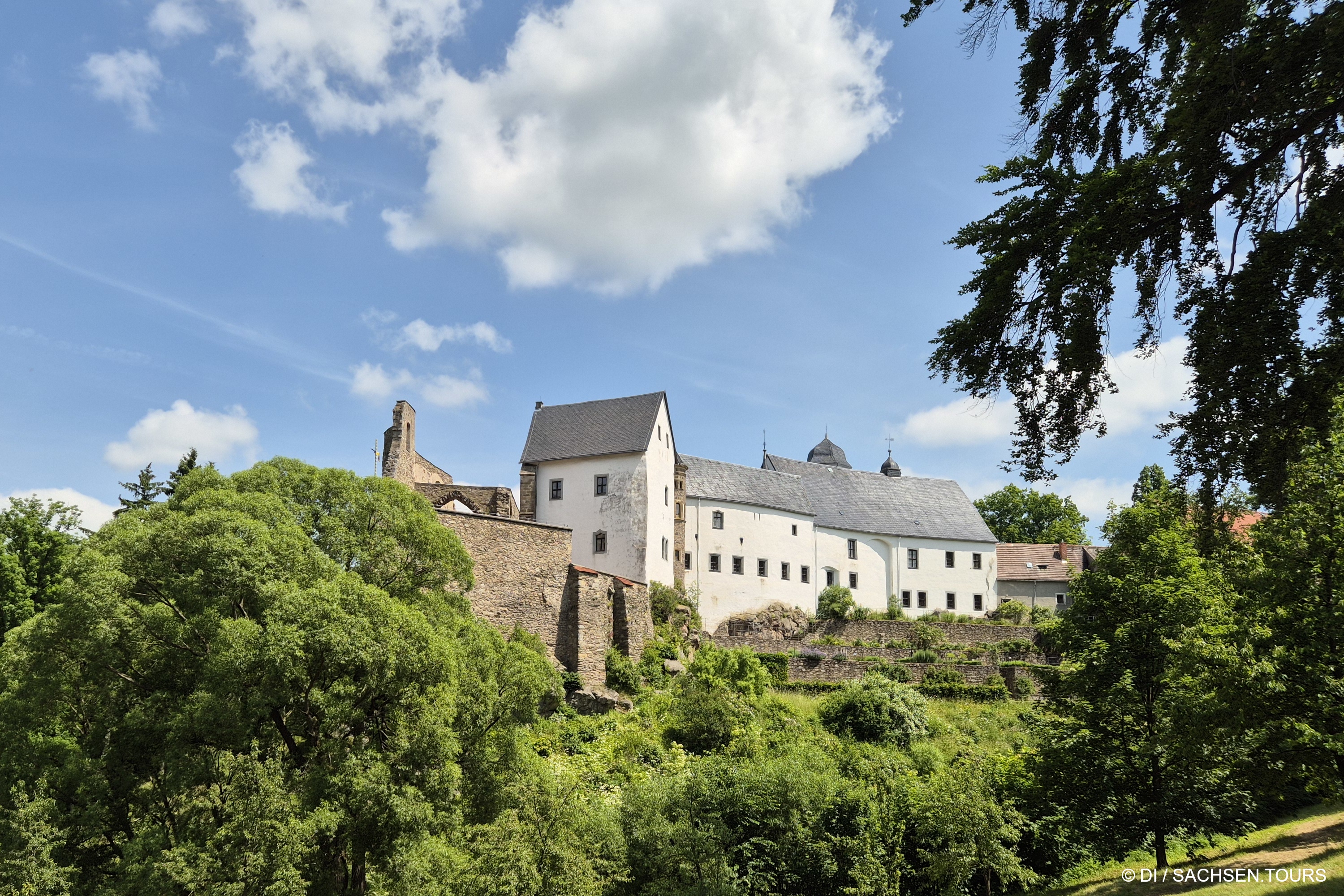 Ein weißes historisches Schloss mit grauen Dächern thront auf einem grünen Hügel, umgeben von Bäumen und blauem Himmel mit vereinzelten Wolken.