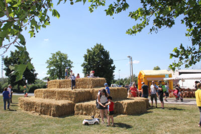 Bauernmarkt im Lehr- und Versuchsgut Köllitsch