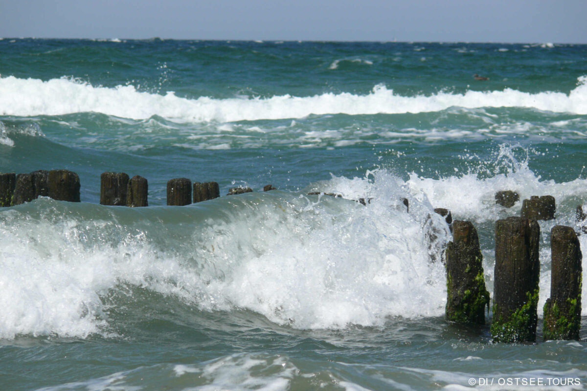 Wellen brechen sich an einer Reihe verwitterter Holzpfähle im Meer, von denen einige mit Grünalgen bewachsen sind. Weiße Gischt wirbelt im blaugrünen Wasser unter einem klaren Himmel – ein unerwarteter Küstenanblick, weit entfernt vom sächsischen Hinterland.