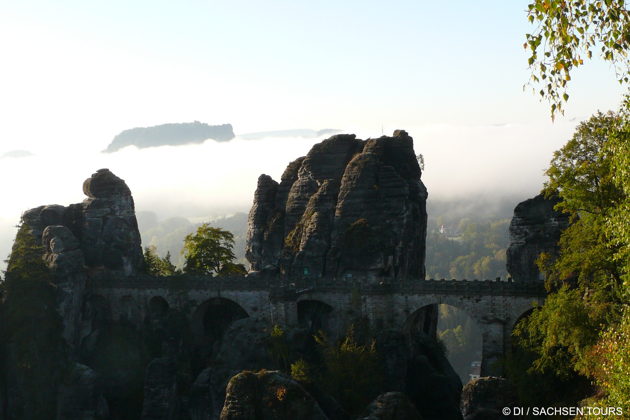 Historische Steinbrücke mit mehreren Bögen überspannt die Felsformationen des Basteifelsen mit der Basteibrücke, umgeben von Bäumen. Morgennebel bedeckt die Landschaft, und im Hintergrund sind ferne Hügel unter einem blassen Himmel zu sehen.