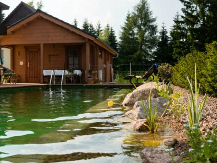 Blockhaussauna mit Bioschwimmteich