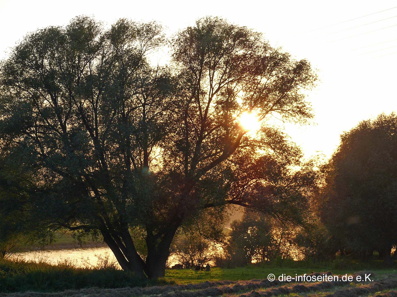 Elbauen am Abend