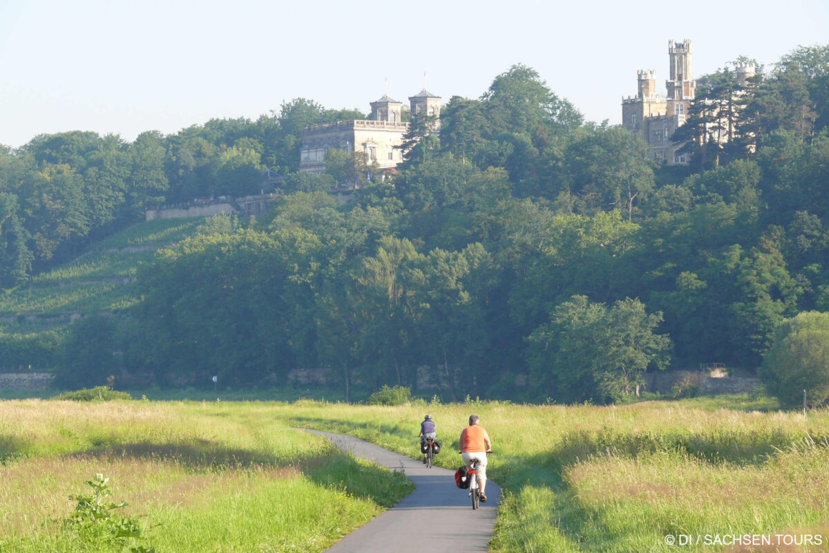 Elberadweg in Dresden-Blasewitz