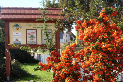Schlenderweinprobe – wenige Restplätze vorhanden!