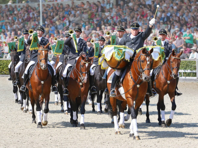 Hengstparaden Moritzburg SACHSEN TOURS