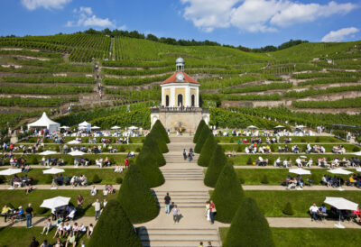 Weinsommer auf Schloss Wackerbarth