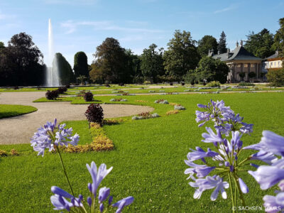 Sommerbepflanzung im Pillnitzer Schlosspark