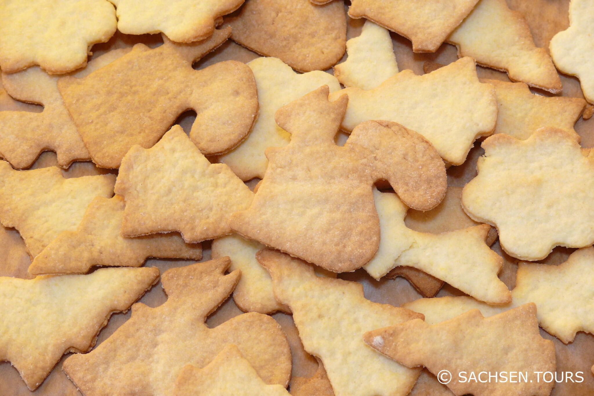 Plätzchenteig » SACHSEN.TOURS Plätzchenteig » SACHSEN.TOURS