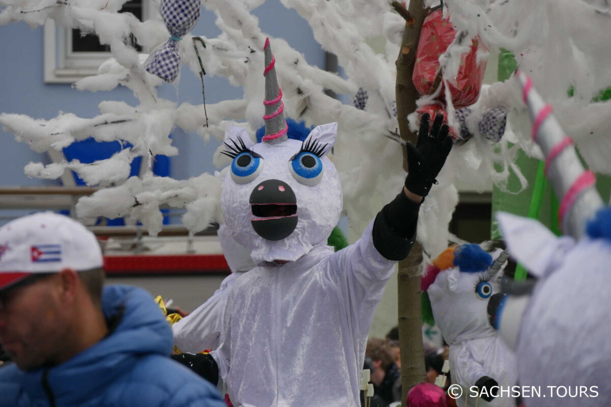 Einhorn - Karneval in Radeburg