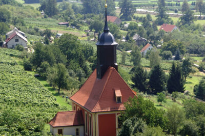 Wanderung durch Pillnitz und Umgebung