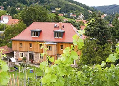 Weingut Mariaberg